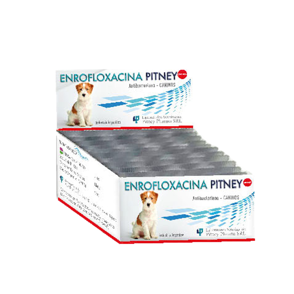 Enrofloxacina Pitney Pharma